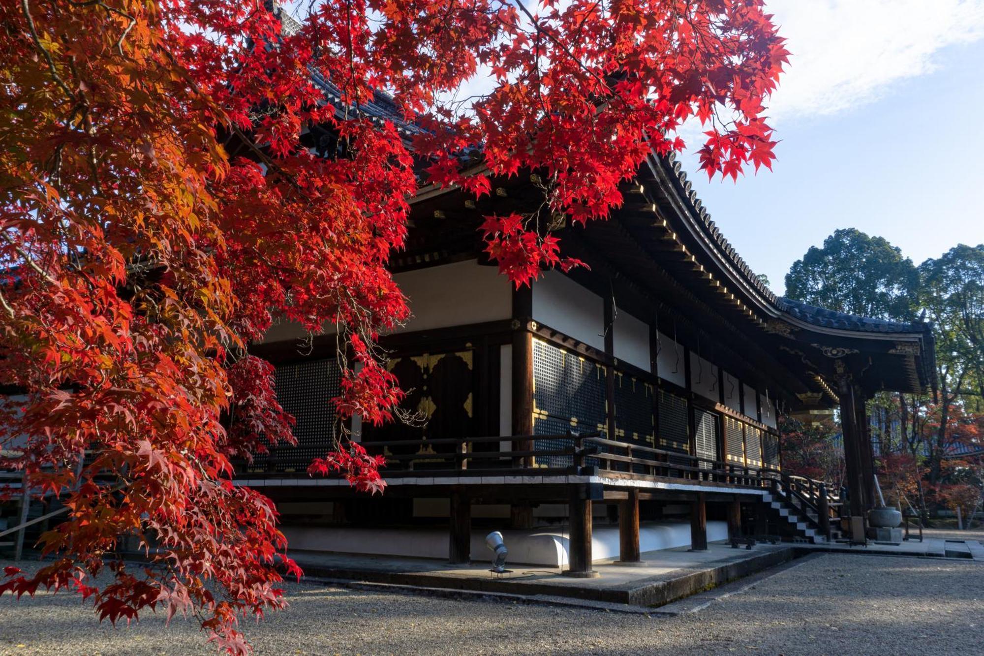 Tokyu Stay Kyoto Sakaiza Shijo Kawaramachi Exteriör bild